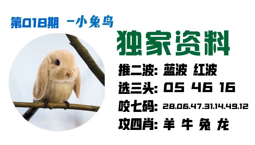 018期小兔鸟[图]